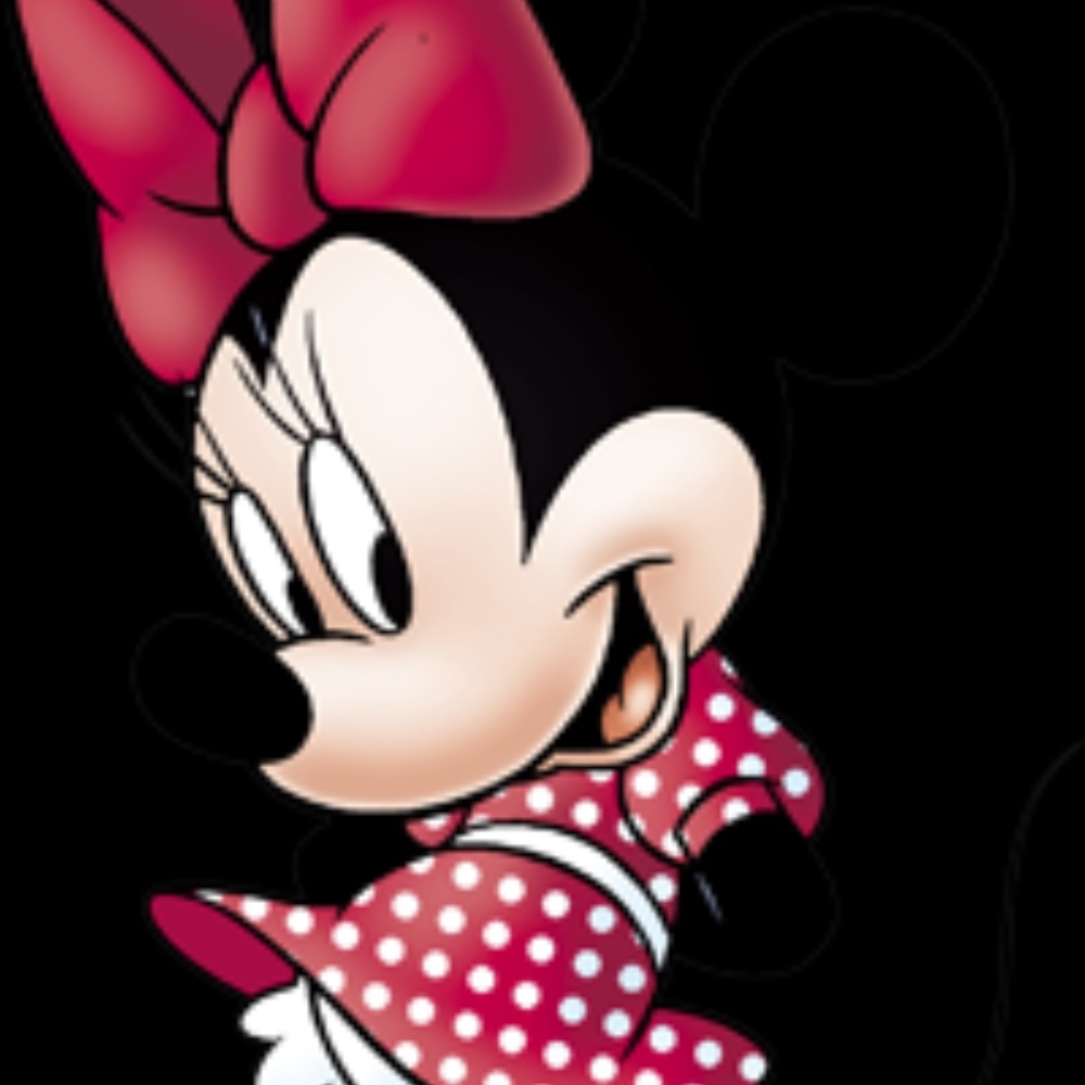 Meet your Posher, Minnie